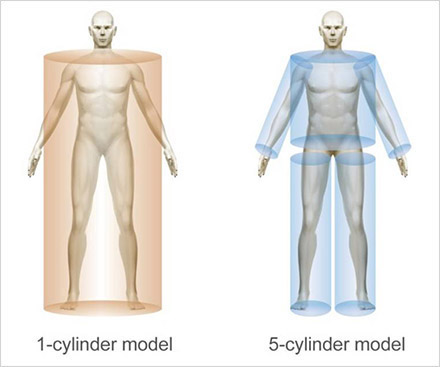 Ανθρώπινο σώμα, 5 κυλινδρικά τμήματα